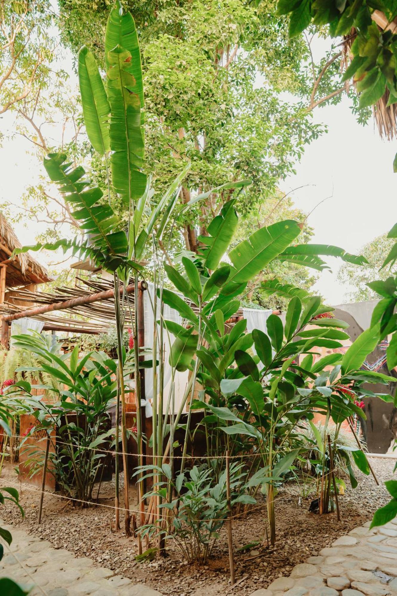 Kasakola Hotel Palomino Ngoại thất bức ảnh