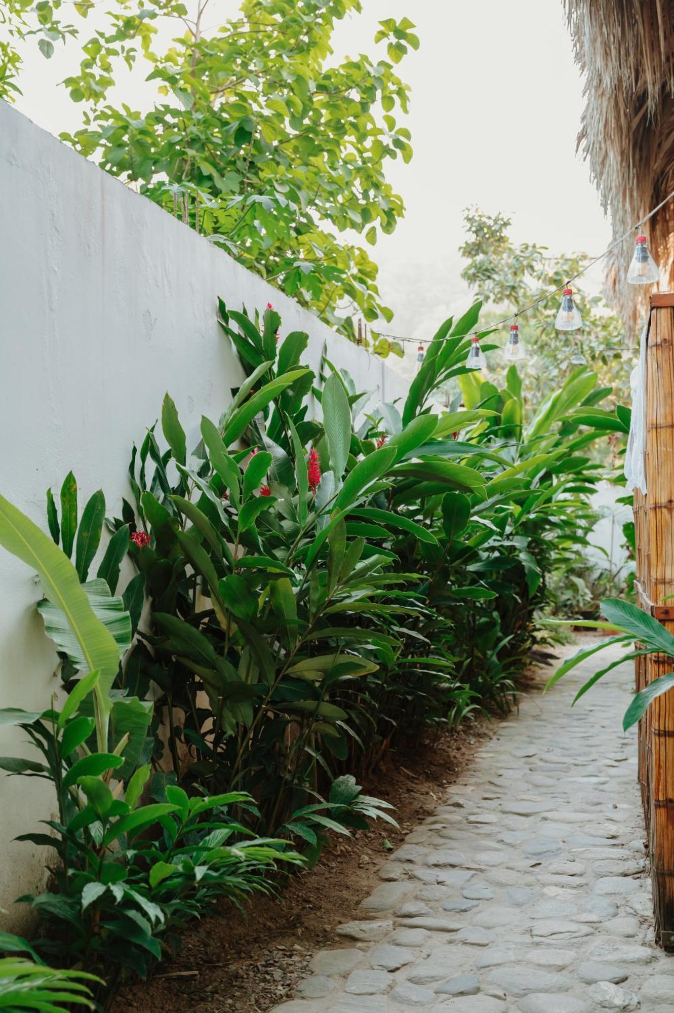 Kasakola Hotel Palomino Ngoại thất bức ảnh